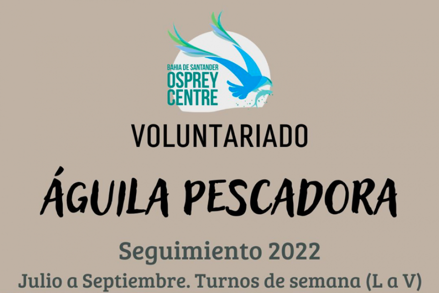 Voluntariado Águila pescadora en la Bahía de Santander