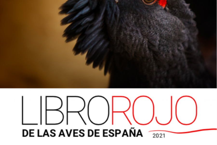 Cudeyo en su territorio de invernada de la Bahía de Santander. Libro Rojo de las Aves 2021