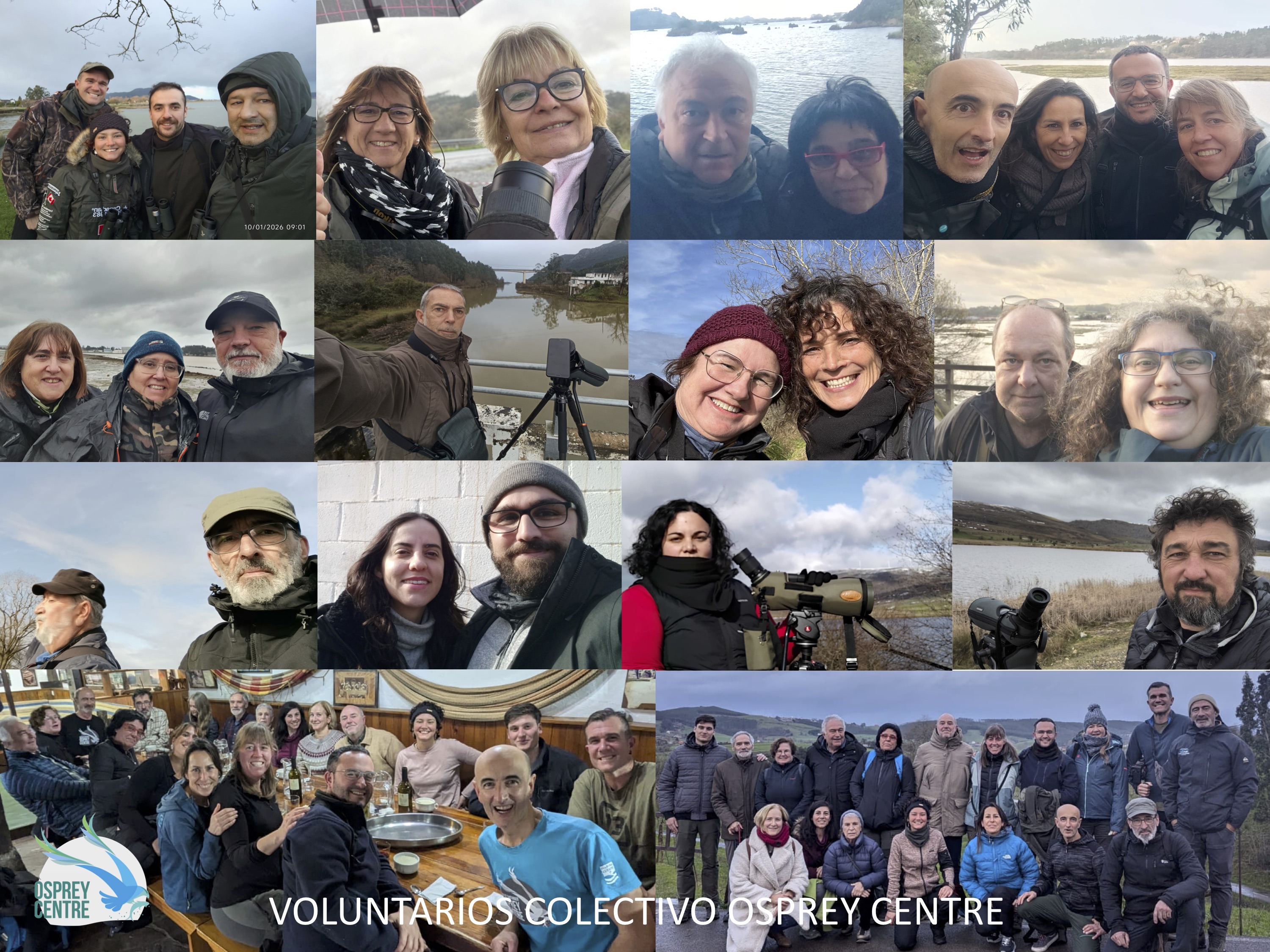 10 ejemplares de Águila pescadora eligen Cantabria para pasar el invierno 2025/2026