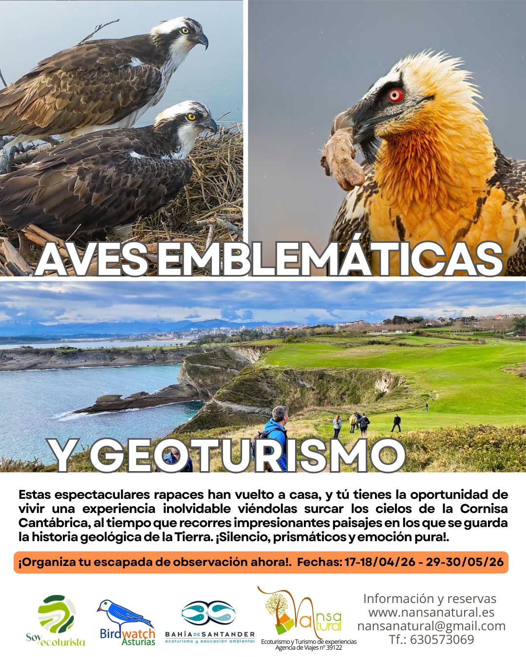 Experiencia en Picos de Europa y la Bahía de Santander. Quebrantahuesos y Águila pescadora