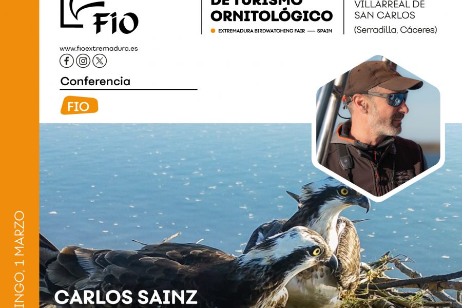 Ecoturismo y voluntariado para conservar el águila pescadora en la Bahía de Santander